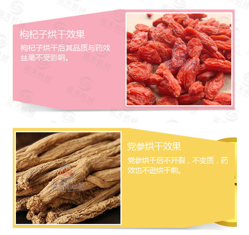 丹參網(wǎng)帶式烘干機產(chǎn)品烘干介紹