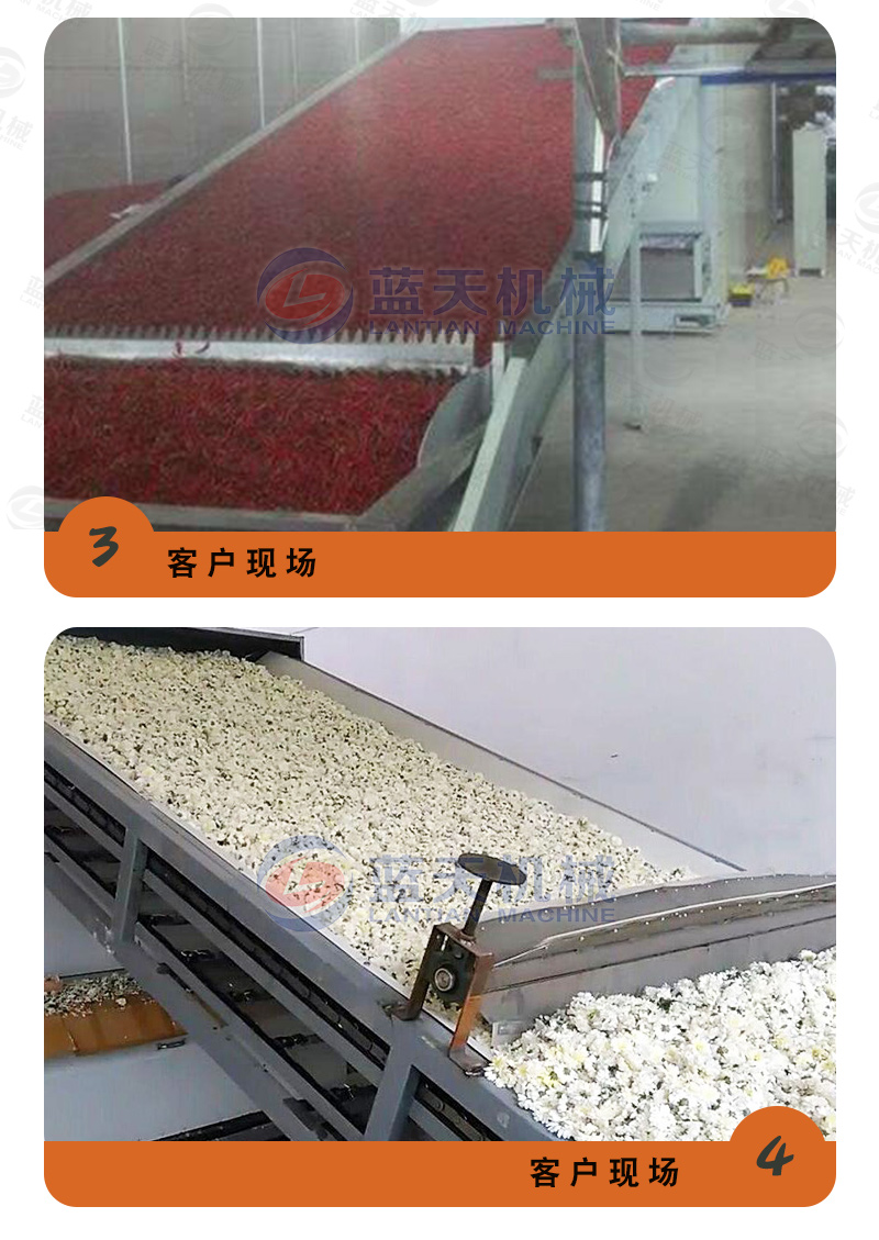 陳皮網(wǎng)帶式烘干機(jī)用戶現(xiàn)場(chǎng)