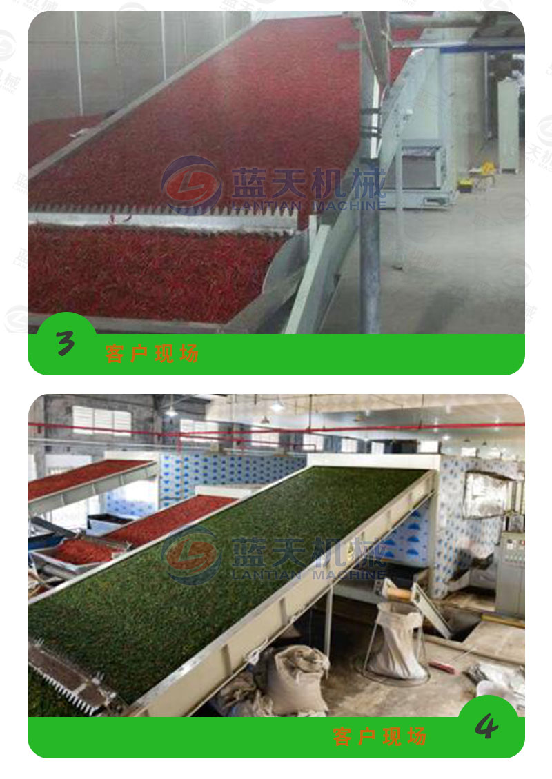 茶葉網(wǎng)帶式烘干機(jī)客戶現(xiàn)場