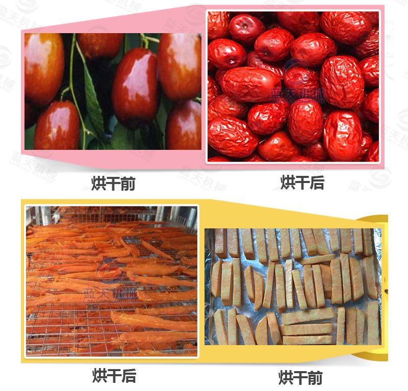 牧草網(wǎng)帶式烘干機產品烘干前后