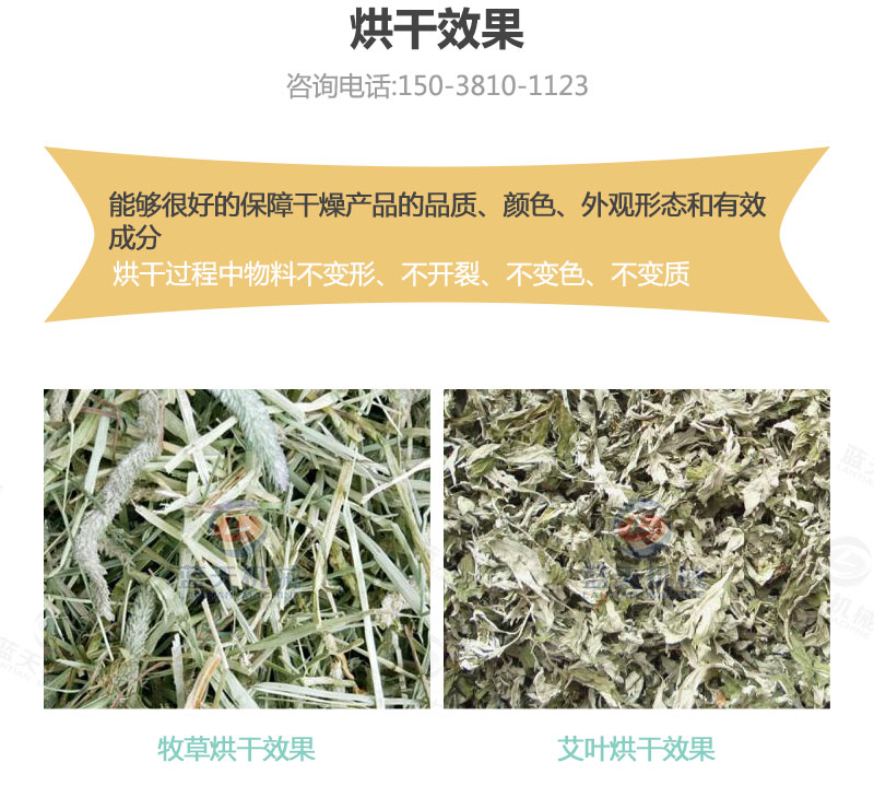 牧草網(wǎng)帶式烘干機烘干效果