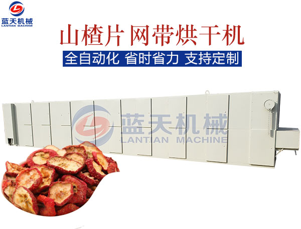 山楂片網(wǎng)帶烘干機