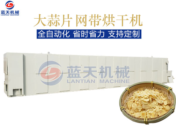 大蒜片網(wǎng)帶烘干機(jī)