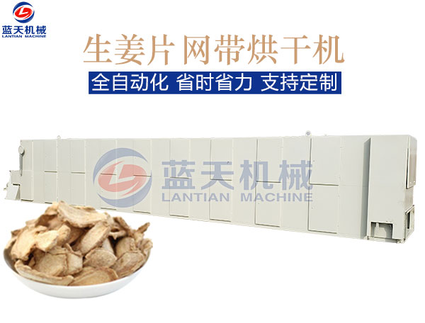 生姜片網(wǎng)帶烘干機(jī)