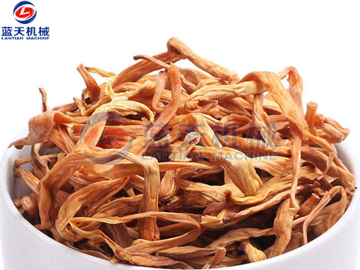 黃花菜網(wǎng)帶烘干機(jī)烘干工藝